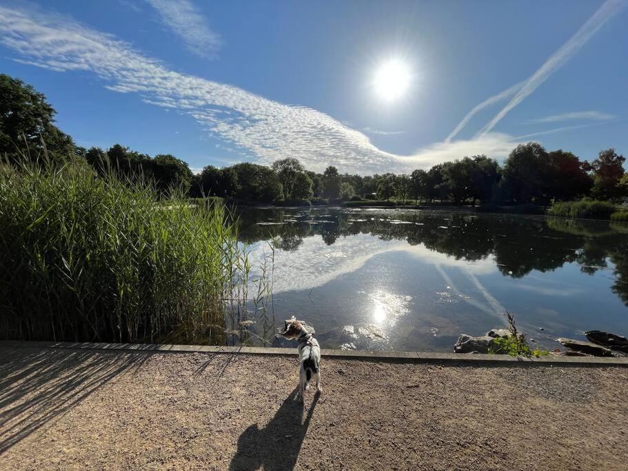 Ferienwohnung Am Glockensee Bad Laer Zewnętrze zdjęcie